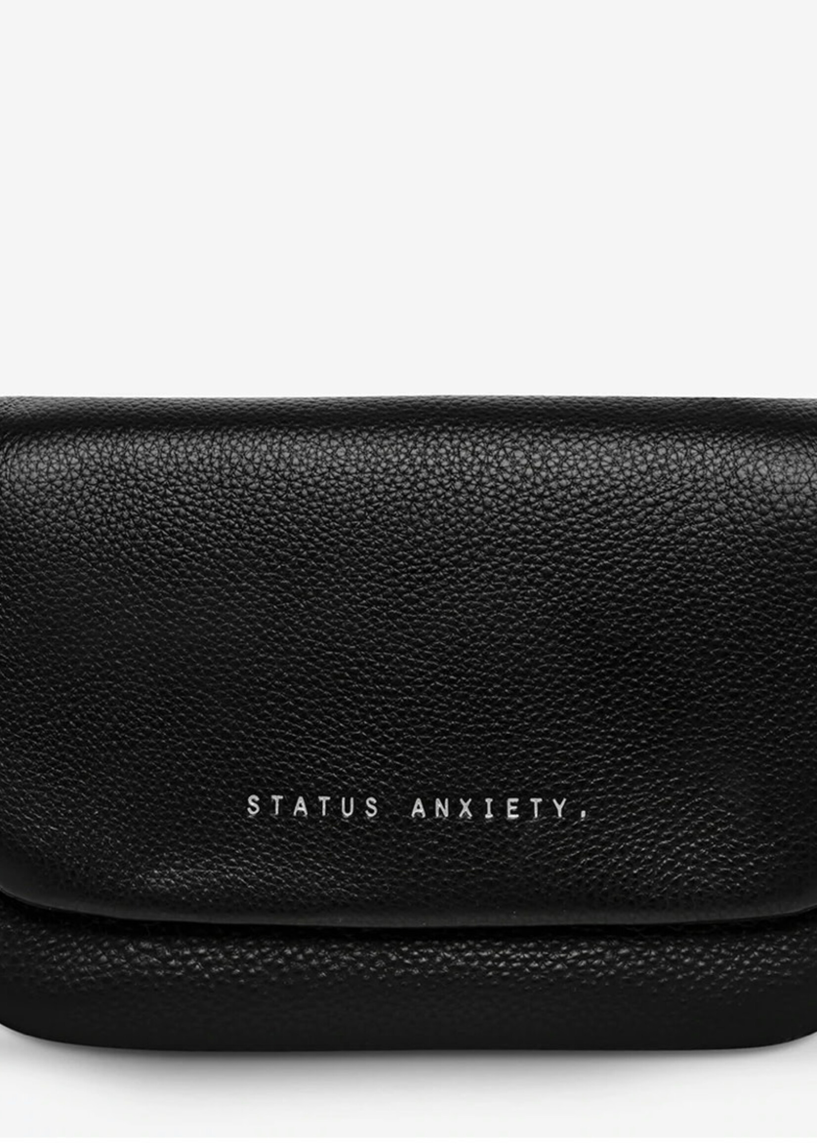 Status Anxiety Impermanent Wallet