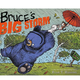 Hachette Bruce's Big Storm