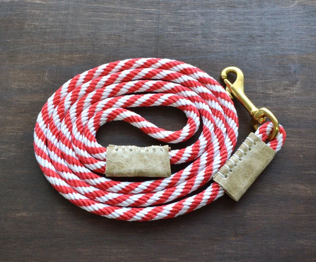 best rope leash