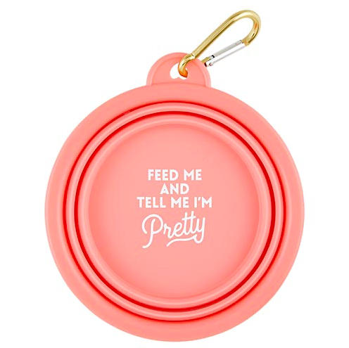 Creative Brands Collapsible Bowl - Feed Me