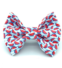 Banjo's Bows Watermelon Sugar High Dog Bow Tie
