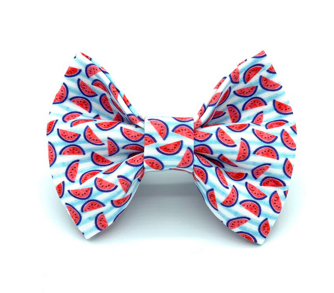 Banjo's Bows Watermelon Sugar High Dog Bow Tie