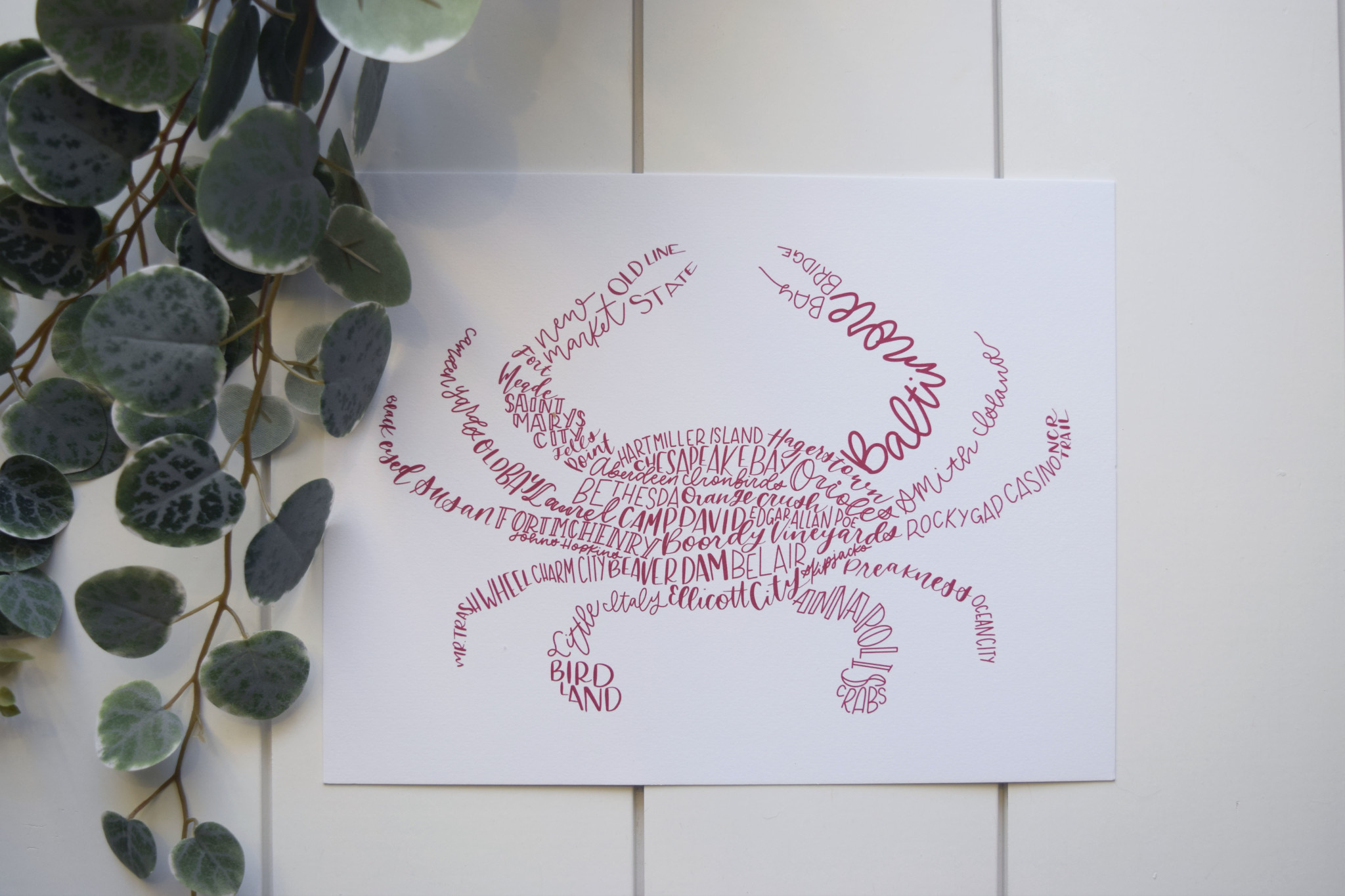 the letters mdn Crab Print 8 x 10