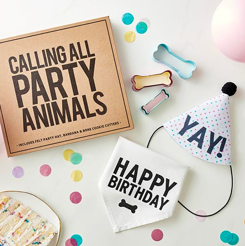 Creative Brands Pet Birthday Box