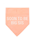 About Face Designs Big Sis L/XL Dog Bandana