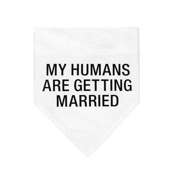 About Face Designs Getting Married L/XL Dog Bandana