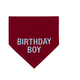 About Face Designs BIRTHDAY BOY BANDANA S/M