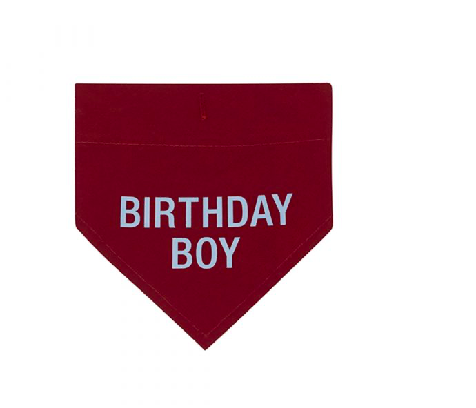 About Face Designs BIRTHDAY BOY BANDANA S/M