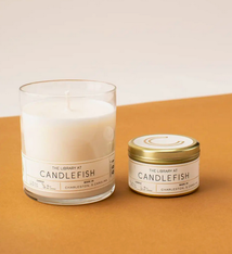 Candlefish No 1 - 2.5 oz Tin Candle