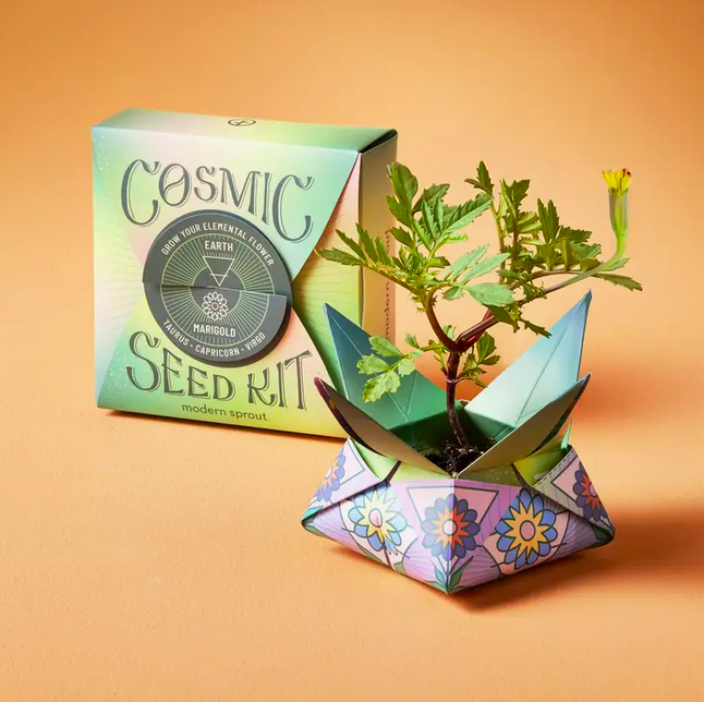 Modern Sprout Cosmic Seed Kit - Earth/Marigold