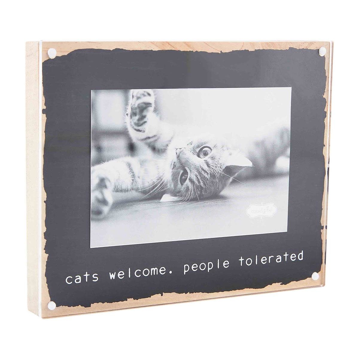 Mud Pie WELCOME ACRYLIC CAT FRAMES