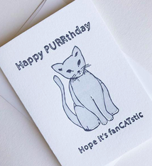 Steel Petal Press fanCATstic Birthday Card