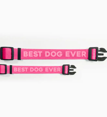 Pretty Alright Goods Best Dog Ever Pink Collar