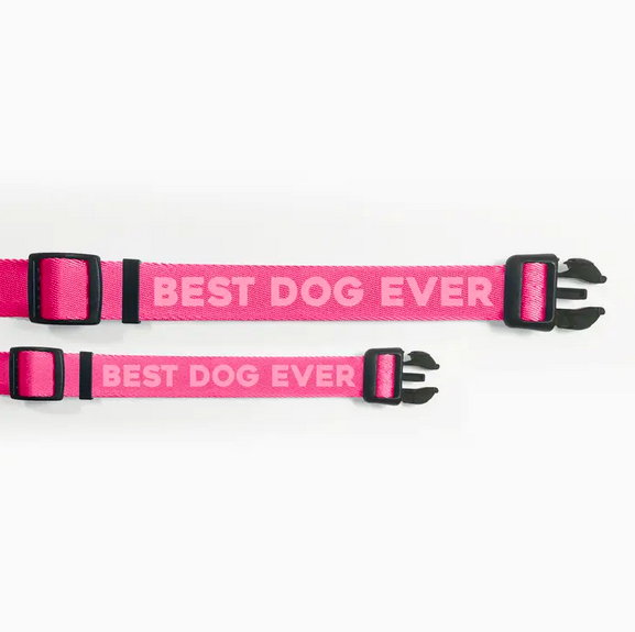Pretty Alright Goods Best Dog Ever Pink Collar