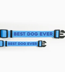 Pretty Alright Goods Best Dog Ever Blue Collar