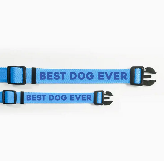 Pretty Alright Goods Best Dog Ever Blue Collar