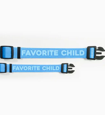 Pretty Alright Goods Favorite Child Blue Dog Collar