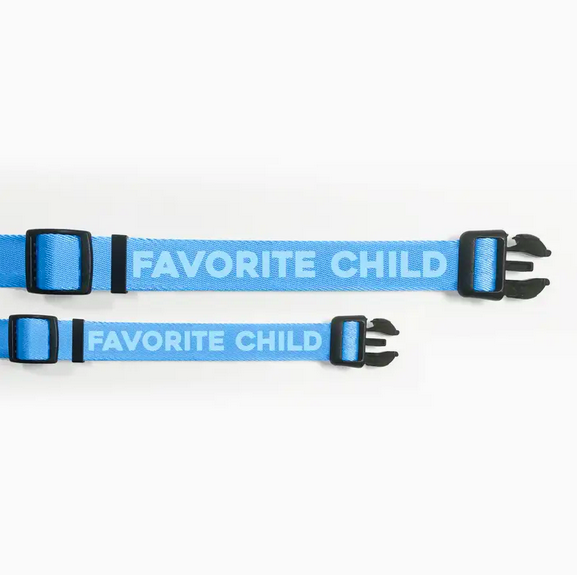 Pretty Alright Goods Favorite Child Blue Dog Collar
