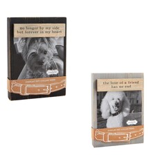 Mud Pie Dog Collar Frame