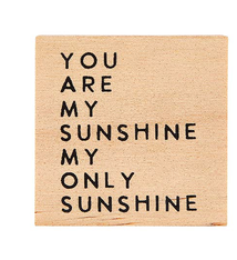 Creative Brands Treasure Box Earrings - You Are My Sunshine