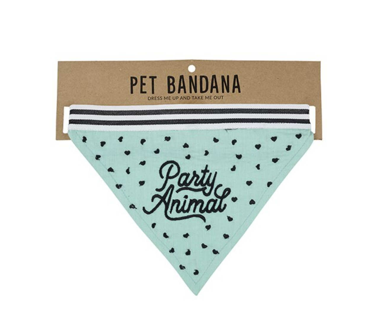 Creative Brands Party Animal Pet Bandana