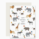 Slightly Stationery Safari Party Animal Birthday Card
