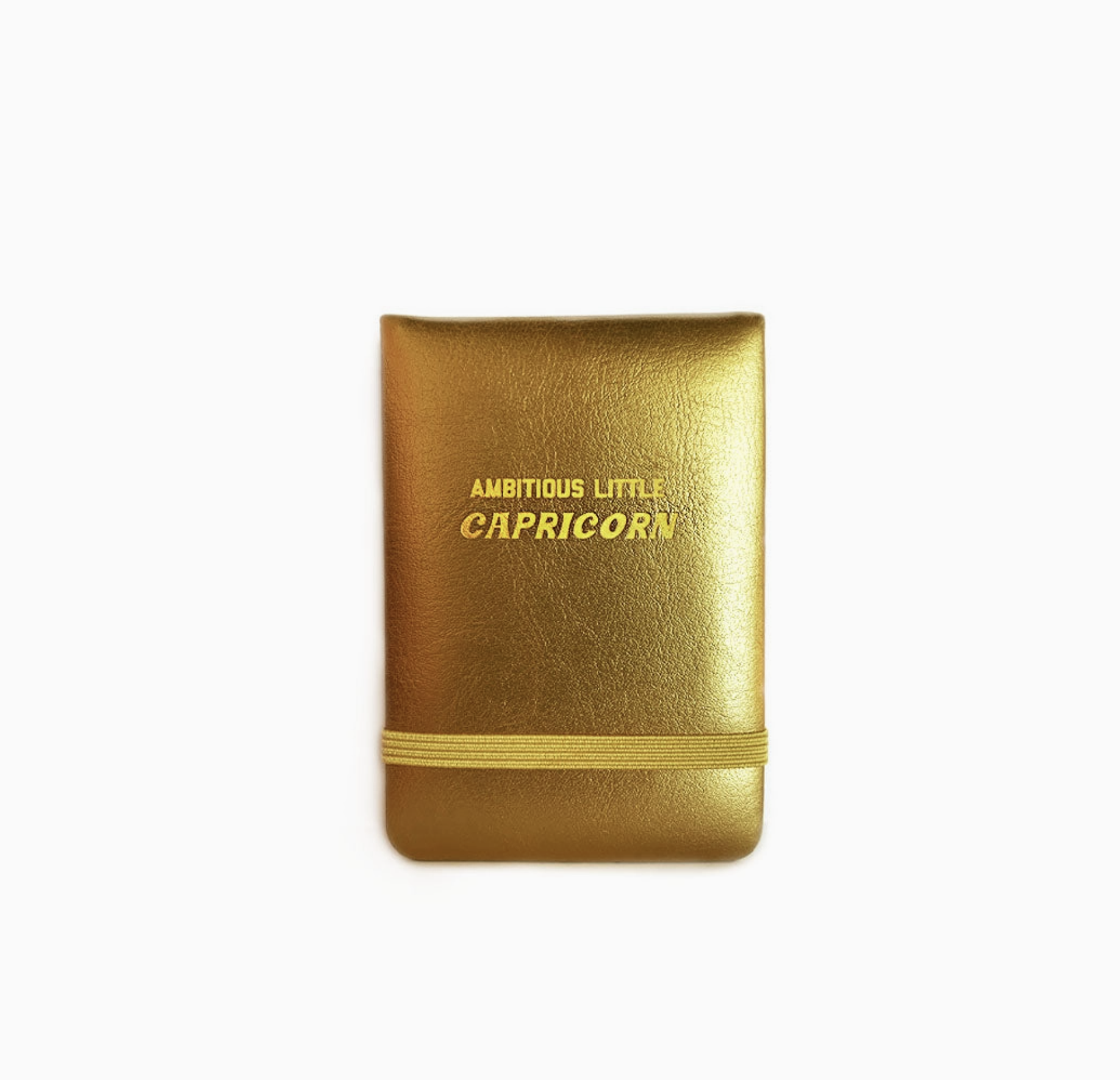 Golden Gems Zodiac Mini Journal