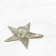 PD Home & Garden SINGLE STAR CANDLE HOLDER
