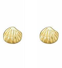 Golden Stella Shell Stud Earring