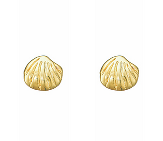 Golden Stella Shell Stud Earring