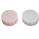 Mud Pie Scallop Resin Coaster