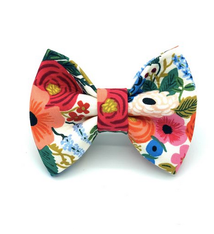 Banjo's Bows Bloomin Love Dog Bow Tie
