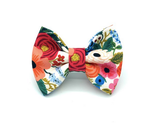 Banjo's Bows Bloomin Love Dog Bow Tie