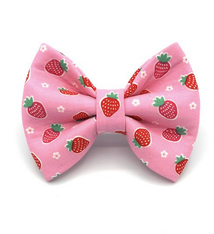 Banjo's Bows Strawberry Fields Dog Bow Tie