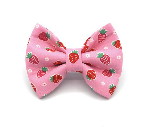 Banjo's Bows Strawberry Fields Dog Bow Tie