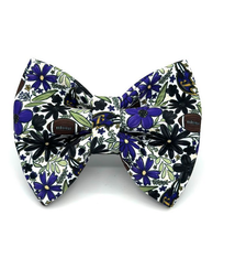 Banjo's Bows Go Ravens Dog Bow Tie