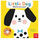 Hachette Little Dog, Where Are You? Board Book