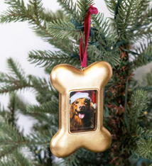PD Home & Garden Gold Dog Bone Frame Ornament