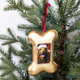 PD Home & Garden Gold Dog Bone Frame Ornament