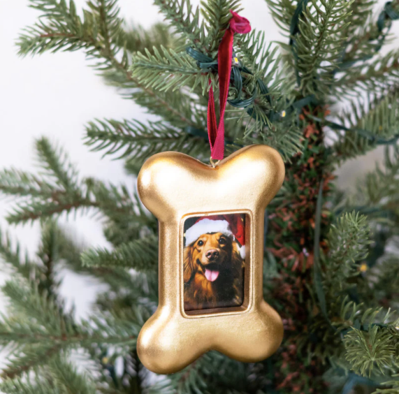 PD Home & Garden Gold Dog Bone Frame Ornament