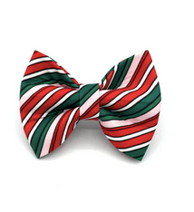 Banjo's Bows Peppermint Stripes Dog Bow Tie