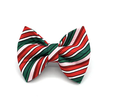 Banjo's Bows Peppermint Stripes Dog Bow Tie