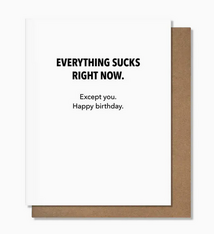 Pretty Alright Goods Everything Sucks Birthday Card