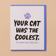 And Here We Are Coolest Cat Sympathy Card