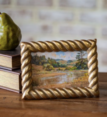 PD Home & Garden 4 X 6 GOLD TWIST EDGE FRAME