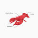 P.L.A.Y. Pet Lifesytle and You Lemmy the Lobster Dog Toy