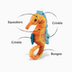 P.L.A.Y. Pet Lifesytle and You Seahorse Dog Toy