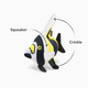 P.L.A.Y. Pet Lifesytle and You Moorish Idol Dog Toy