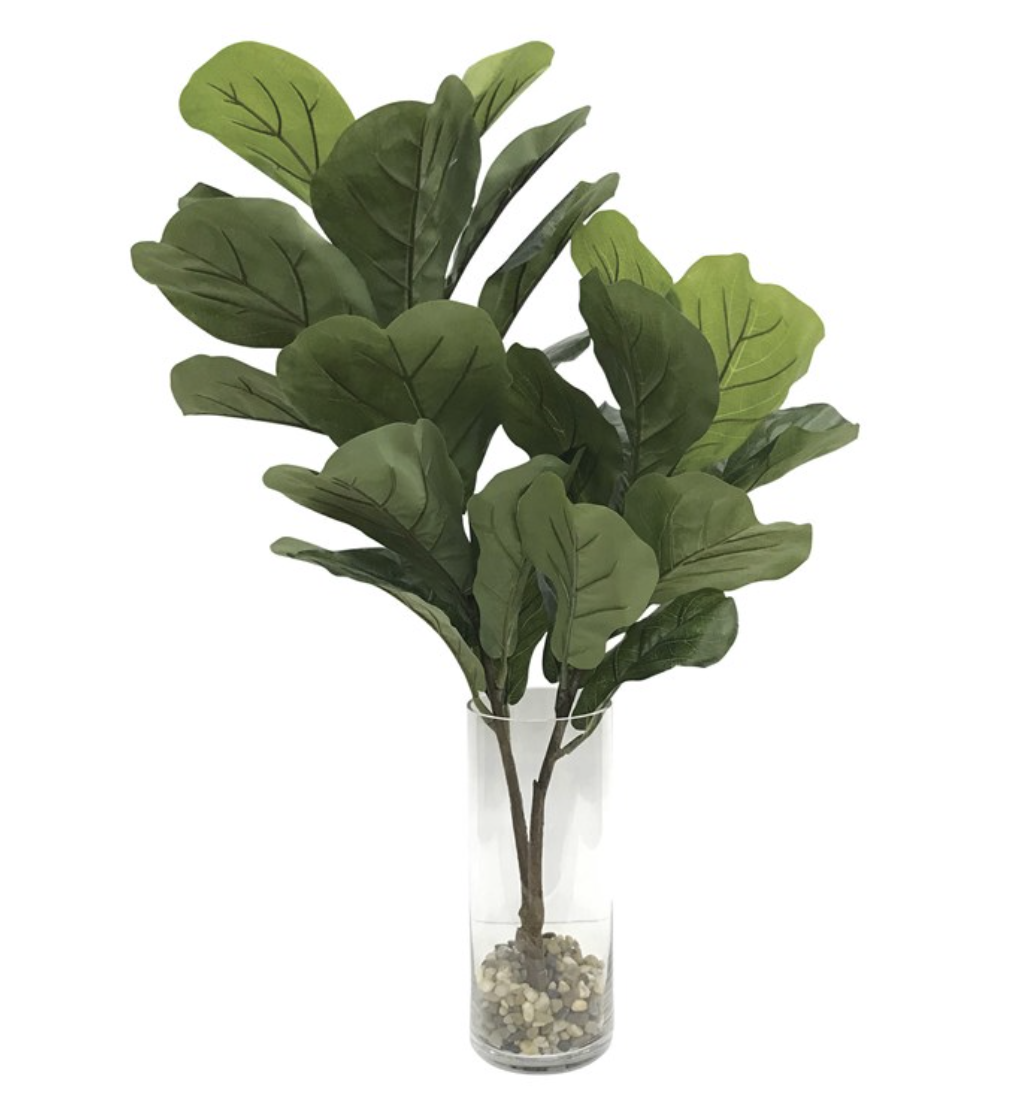 hydroponic plants near me LetPot 12-Pod Hydroponic Growing System with Seeds  Easy Peasy Science