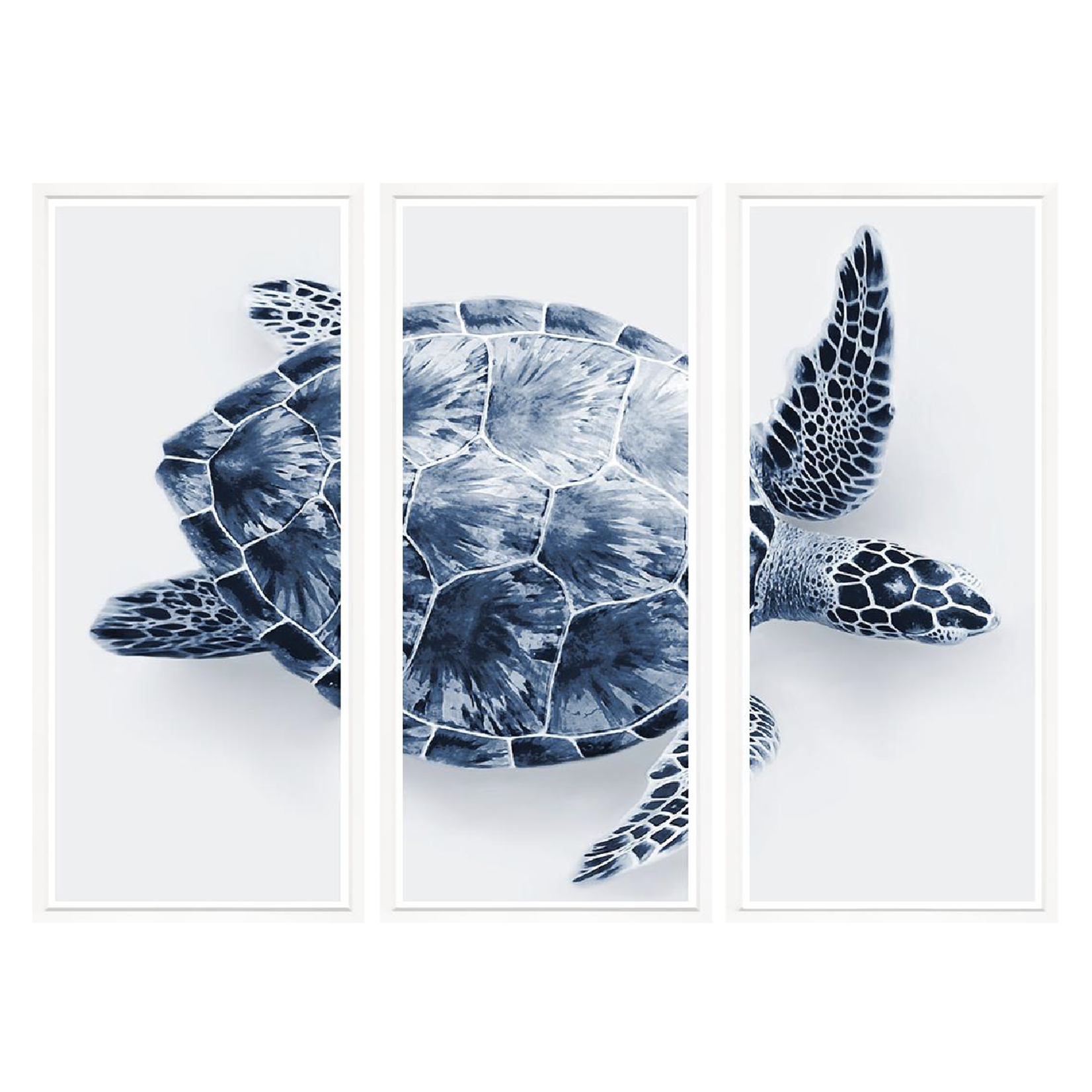 Outside The Box 67x50 Trowbridge Blue Turtle Triptych Art